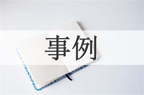 事例的意思